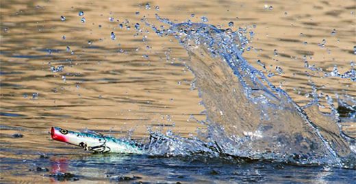 Fishing with Topwater Lures…..2 Minute Fishing Tip