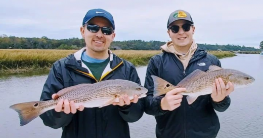 Ambushing Winter Reds