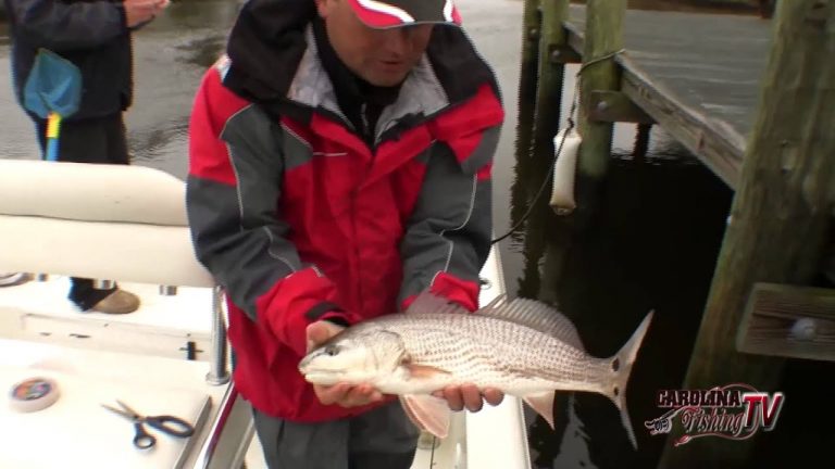 Wintertime Creek Fishing….Video