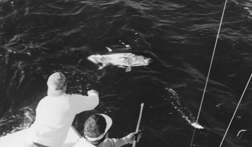 Fishing For Giant Bluefin Tuna…..Remembering 25 Years Later