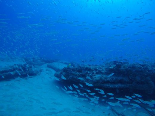 Uncovering the Fishing Mysteries of Nearshore and Offshore Bottom