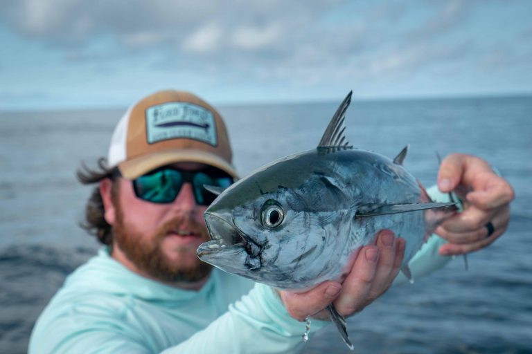 False Albacore On the Fly……A Fishing Rush