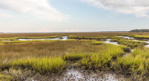 How To Increase Your Catch At Low Tide