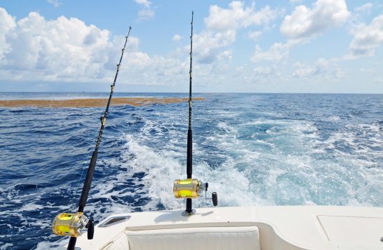Offshore Fishing Tactics and Tackle……Video