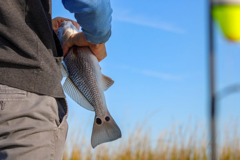 Trolling For Redfish…….A Slow Day Alternative