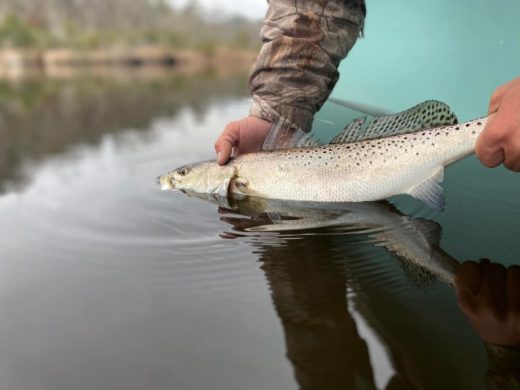 Fall Speckled Trout Fishing……A Different Look