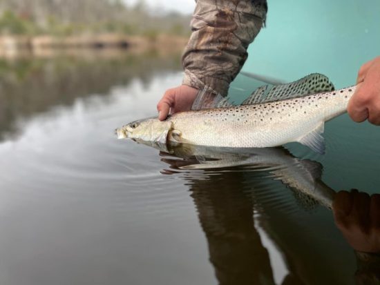 Fall Speckled Trout Fishing……A Different Look