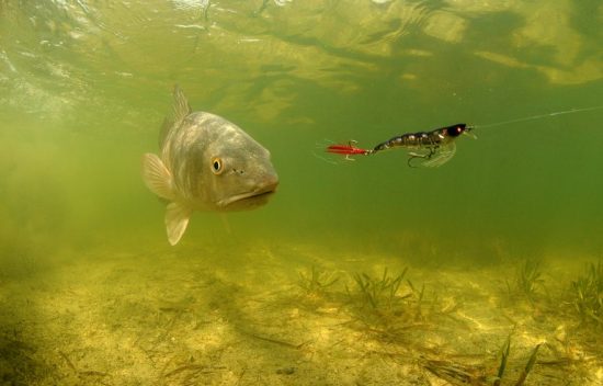 My Fishing Spot’s Better Than Yours…..Increase Your Your Hotspots