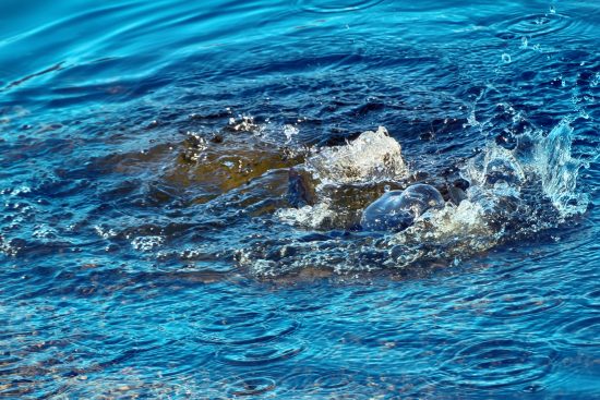 Redfishing the Breakers From a Boat