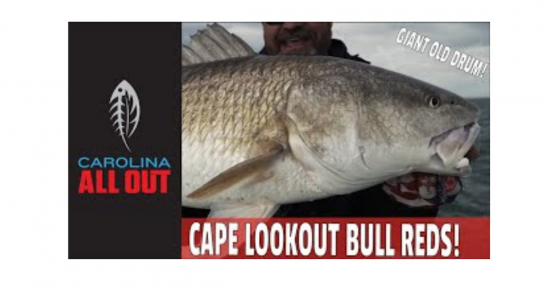 Cape Lookout Bull Reds in December | Carolina ALL OUT