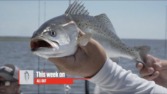 Pamlico Trout and Puppy Drum Fishing ……..Carolina ALL OUT