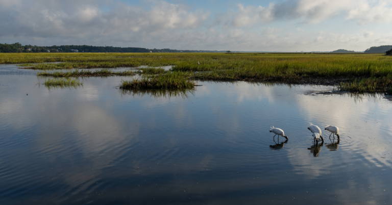 Fishing The Skinny Water…..Know The Landscape
