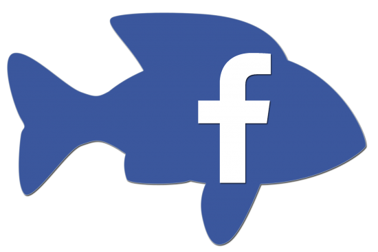 Social Media Changing the Way We Fish