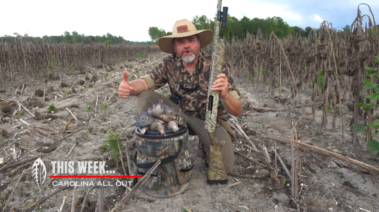 Grinding Out A Limit Of Doves!…….Carolina ALL OUT