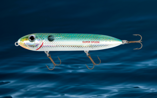 Top Inshore Fishing Lure Types Of All Time