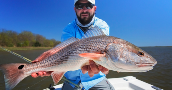 Simple solution For Firing Up A Slow Redfish Bite