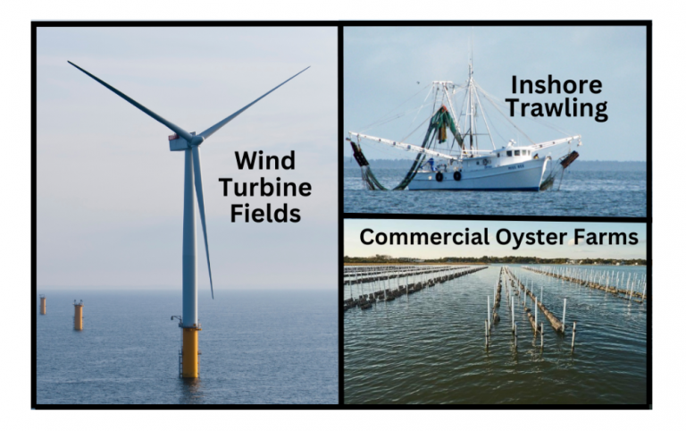 Challenges Now And Ahead For Saltwater Fishing