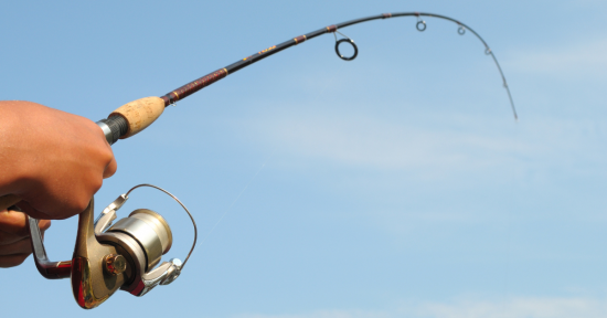 Rod Versatility… A Light Tackle Game Changer