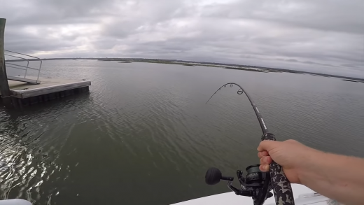 Catching Inshore Giant Redfish Near Docks In Charleston South Carolina