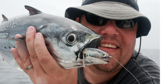 No Alibies When Fishing For False Albacore….. Here’s How It’s Done