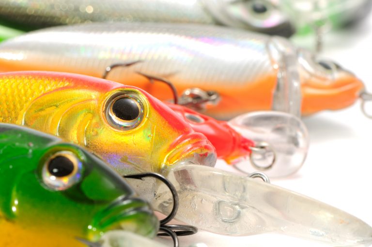 2023 Best Lures For Speckled Trout….Our Writer’s Picks