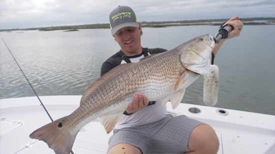 Catching INSHORE GIANTS Near Docks