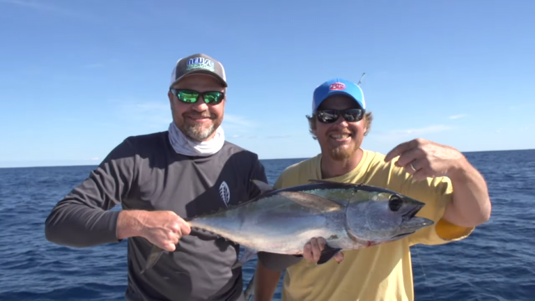 Offshore Blackfins…… Carolina ALL OUT