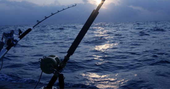 Summer Fishing’s Over, Now The Fun Begins