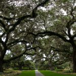 Murrells Inlet, SC,  A Half Mile Off The Beaten Path…..Seafood Paradise