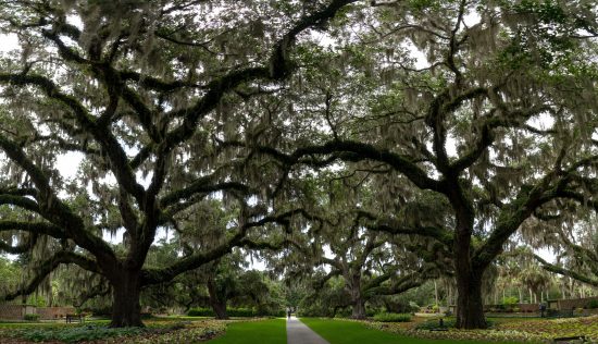 Murrells Inlet, SC,  A Half Mile Off The Beaten Path…..Seafood Paradise