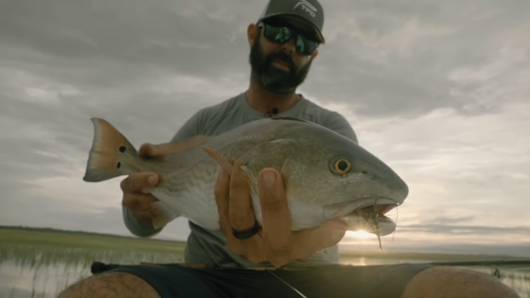 “Old City Crawlers”…..Redfish on the Flood Tide