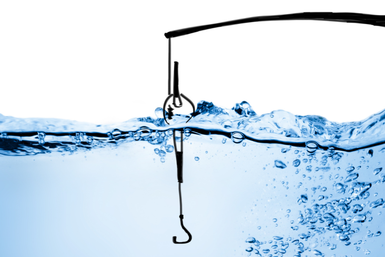 Shrinking Saltwater Fishery Issue….More Than Just Catching Fish!