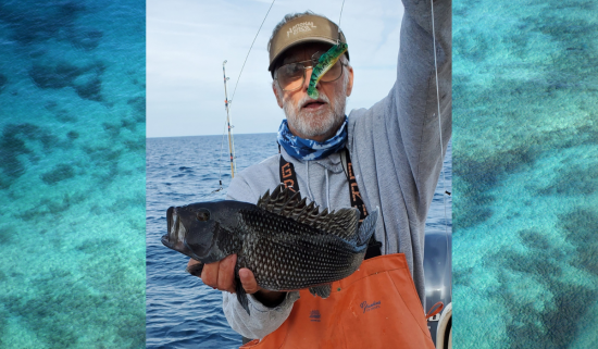 Black Bass Fishing…..Location Location Location