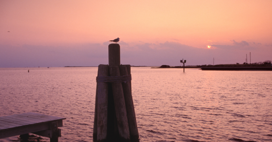Saltwater Angler’s Fishing Location Of The Month…..Pamlico Sound