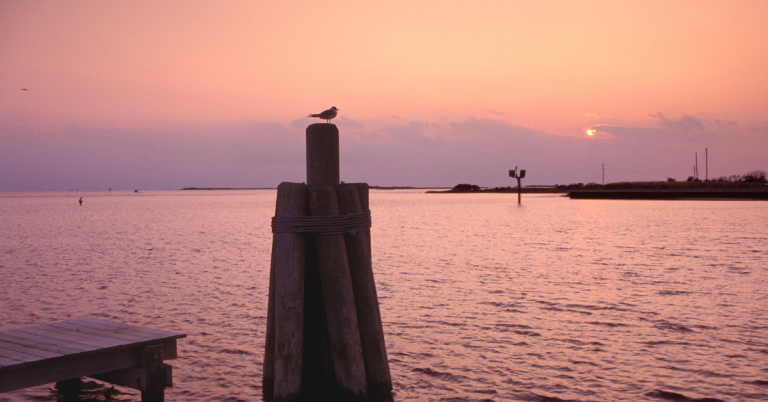 Saltwater Angler’s Fishing Location Of The Month…..Pamlico Sound