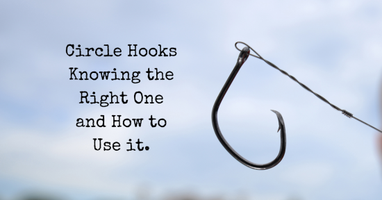 Circle Hooks…….What, When, Where and Why?