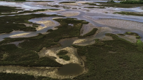 A Look At Why North Carolina’s Fishing Continues To Decline