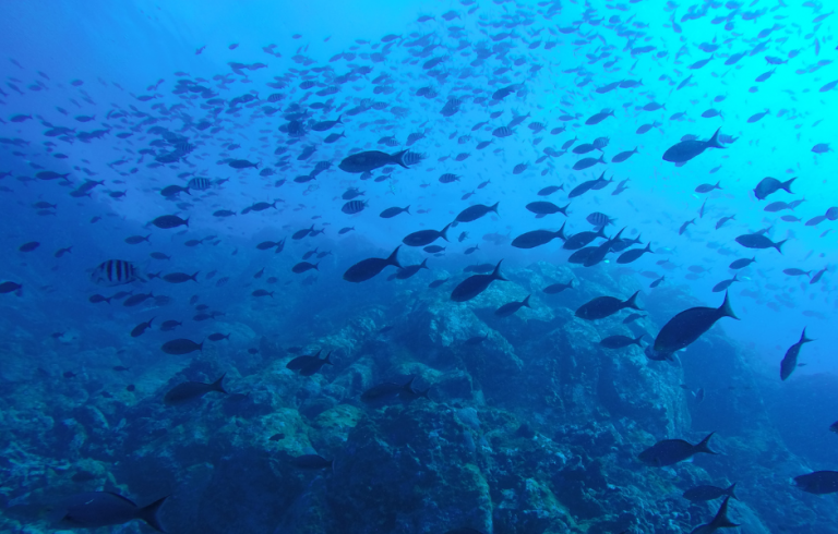 Fishing The Mystical Offshore “Shelf Break”