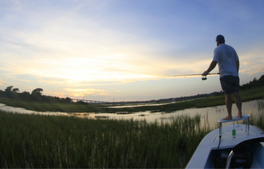 Special Series: The State of Saltwater Fisheries in the Carolinas