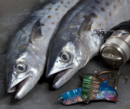 Spanish Mackerel Fishing….Create A Saturday Morning Blast