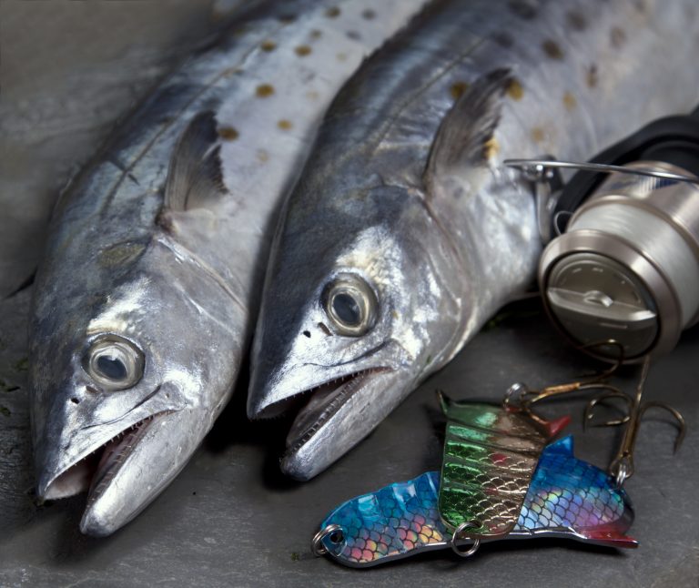 Spanish Mackerel Fishing….Create A Saturday Morning Blast