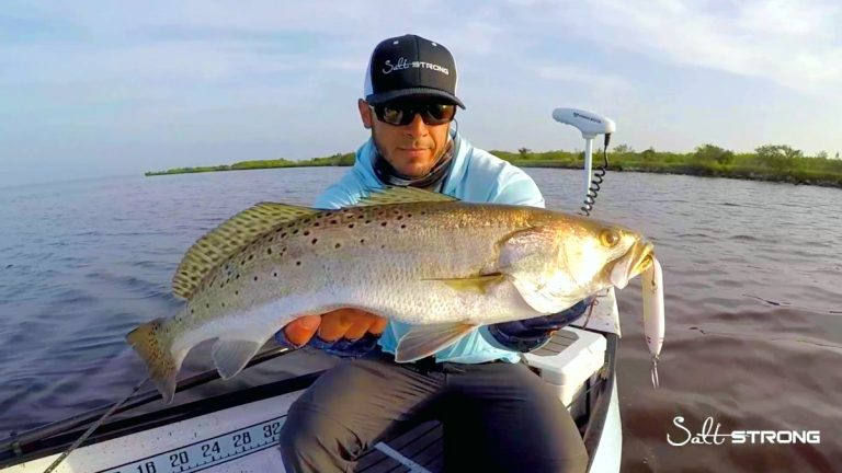 How to Use a Walk the Dog Topwater Lure…..Moonwalker Mastery