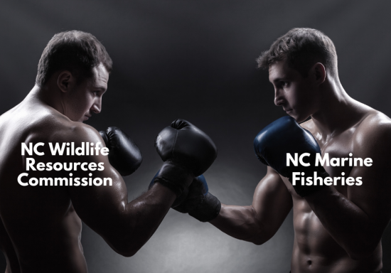 NC Agencies At Odds With Each Other Over Flounder Restrictions