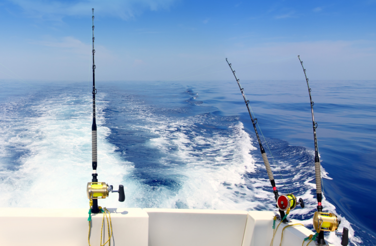 Offshore Trolling Finding the Perfect  Speed