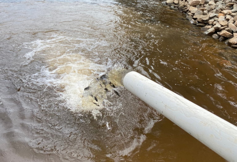 More Than 220,000 Striped Bass Released Into The Cape Fear River