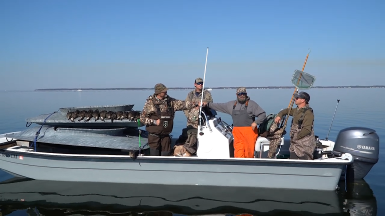 Sea Ducks and  Creek Boats on the  Pasquotank!