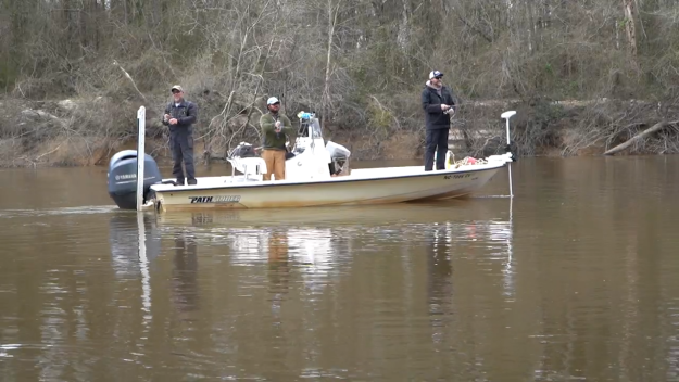 Sight Fishing, Where Skill Meets Excitement
