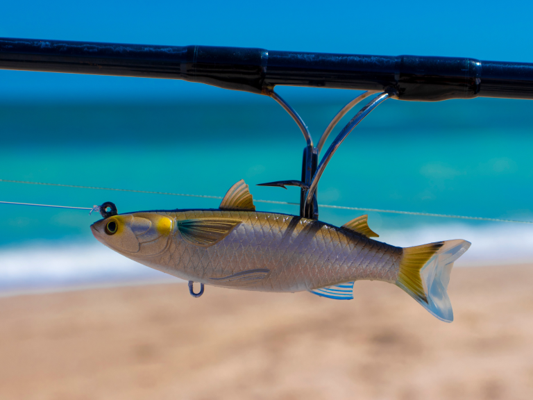 Mistakes Rookie Anglers Make and How To Avoid Them