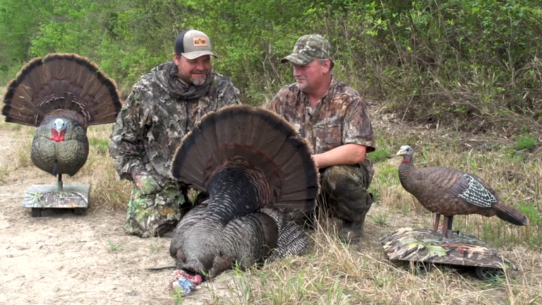 Carolina Toms In the East