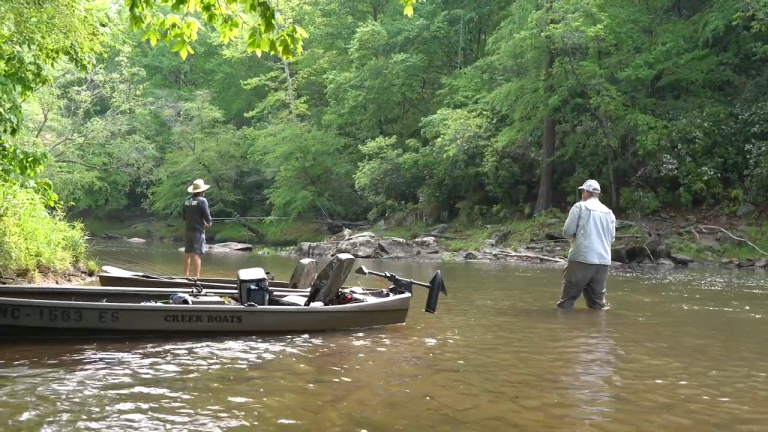 Flat River Fishing Roanoke Bass
